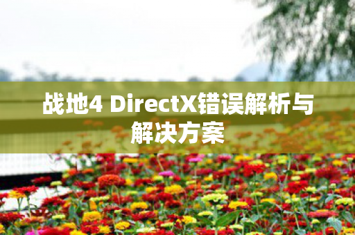 战地4 DirectX错误解析与解决方案图片