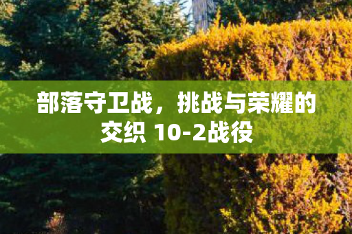挑战与荣耀的交织 10图片