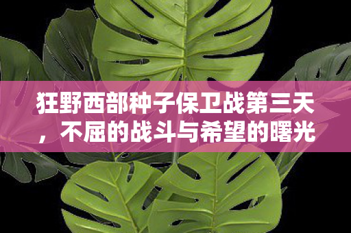 狂野西部种子保卫战第三天图片