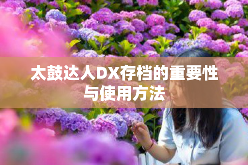 太鼓达人DX存档的重要性与使用方法图片