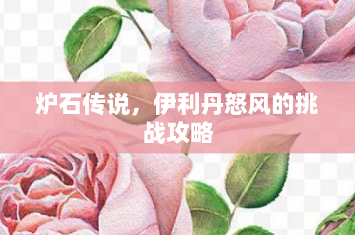 伊利丹怒风的挑战攻略图片