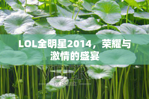LOL全明星2014图片