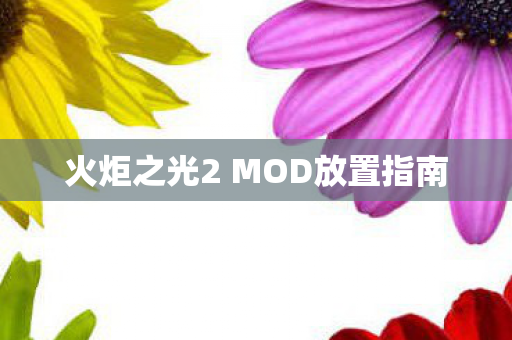 火炬之光2 MOD放置指南图片