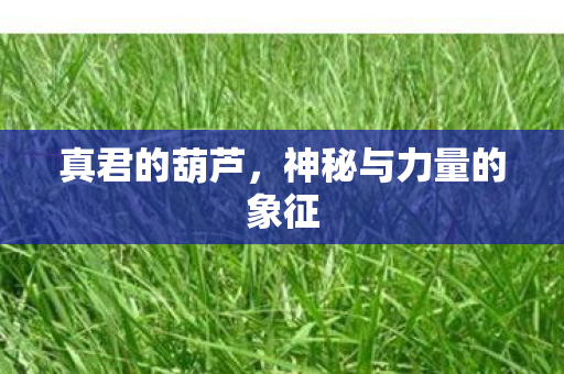 神秘与力量的象征图片