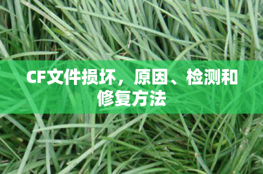 检测和修复方法图片