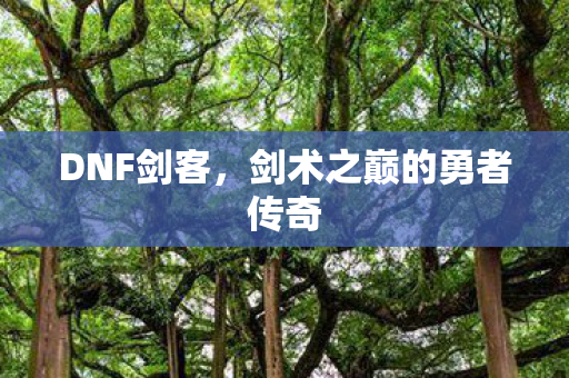 剑术之巅的勇者传奇图片