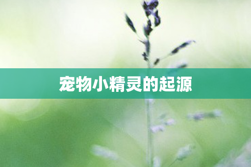 宠物小精灵的起源图片