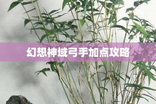 幻想神域弓手加点攻略图片