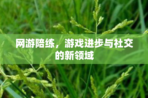 游戏进步与社交的新领域图片