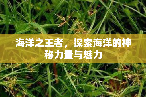 探索海洋的神秘力量与魅力图片