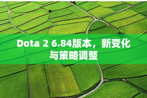 Dota 2 6图片