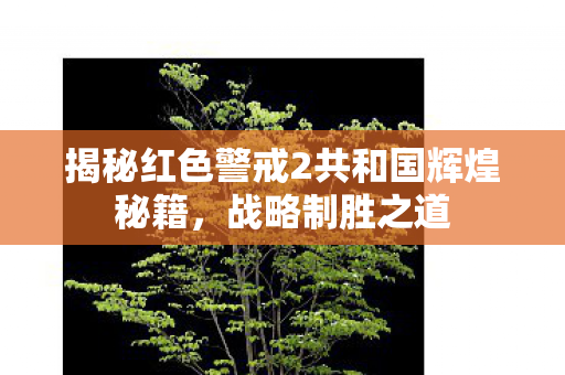 揭秘红色警戒2共和国辉煌秘籍图片