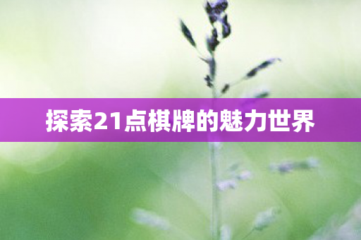 探索21点棋牌的魅力世界图片