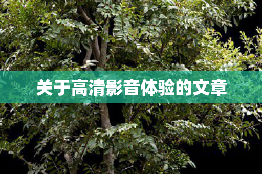 关于高清影音体验的文章图片