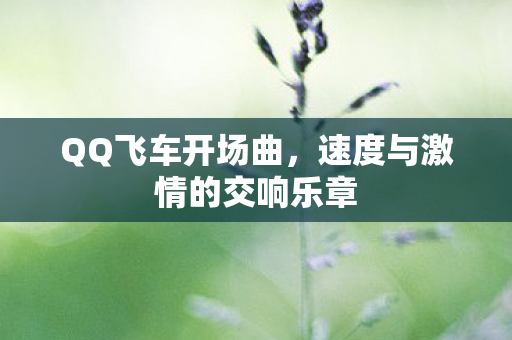 速度与激情的交响乐章图片