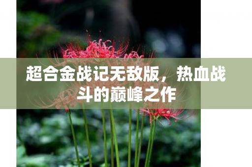 热血战斗的巅峰之作图片