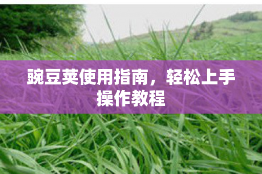 轻松上手操作教程图片