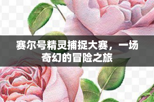 赛尔号精灵捕捉大赛图片