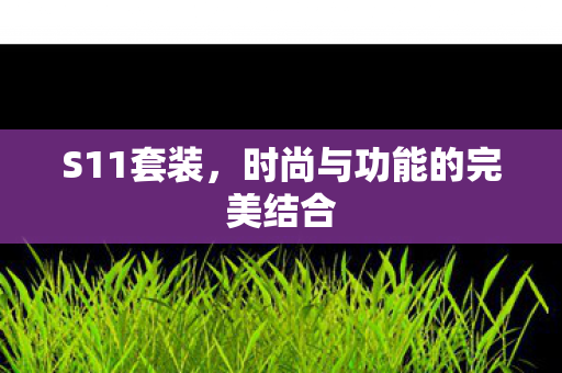 时尚与功能的完美结合图片