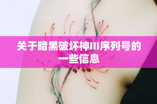 关于暗黑破坏神III序列号的一些信息图片