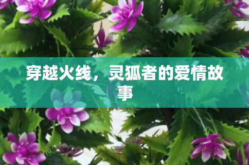 灵狐者的爱情故事图片
