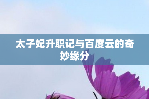太子妃升职记与百度云的奇妙缘分图片