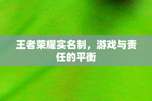 游戏与责任的平衡图片