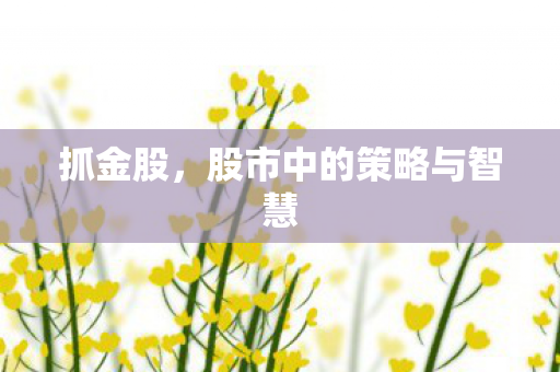 股市中的策略与智慧图片