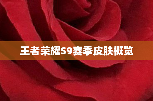 王者荣耀S9赛季皮肤概览图片