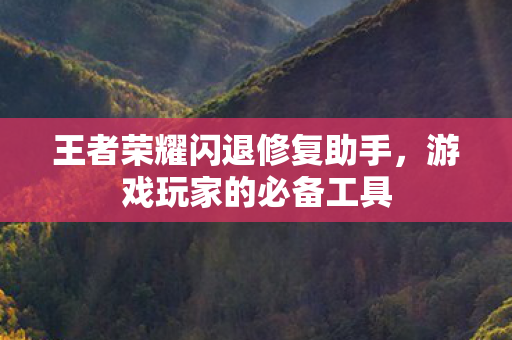 王者荣耀闪退修复助手图片