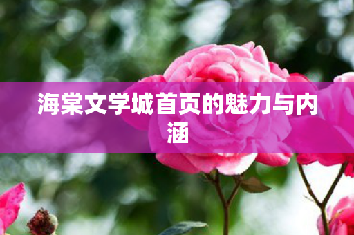 海棠文学城首页的魅力与内涵图片