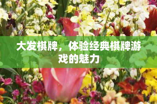 体验经典棋牌游戏的魅力图片