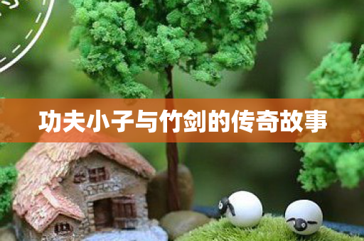 功夫小子与竹剑的传奇故事图片