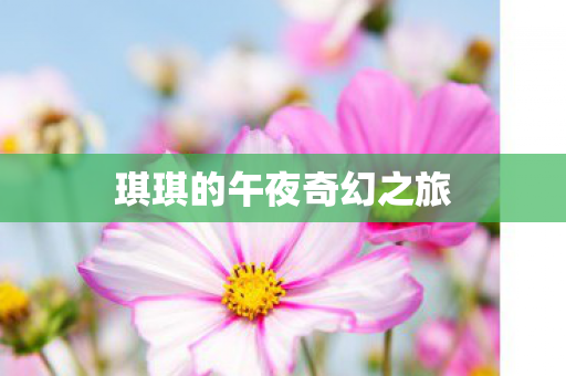 琪琪的午夜奇幻之旅图片
