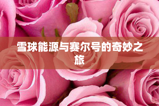 雪球能源与赛尔号的奇妙之旅图片