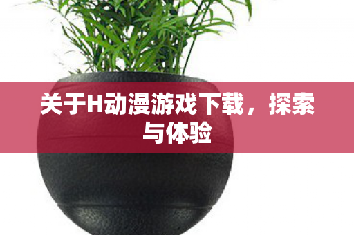 关于H动漫游戏下载图片
