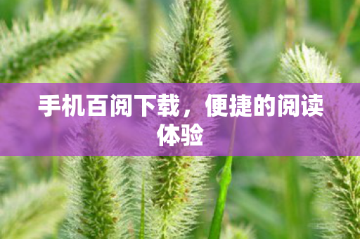 便捷的阅读体验图片