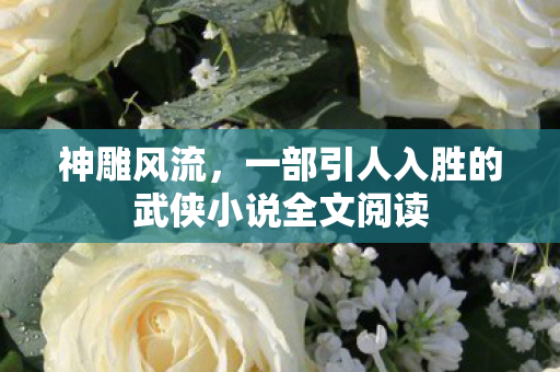 一部引人入胜的武侠小说全文阅读图片