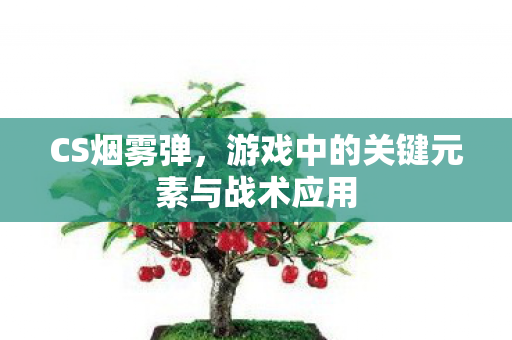 游戏中的关键元素与战术应用图片