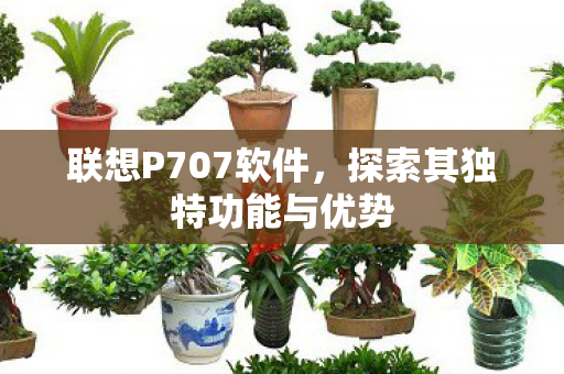 探索其独特功能与优势图片