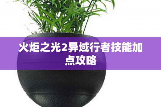 火炬之光2异域行者技能加点攻略图片