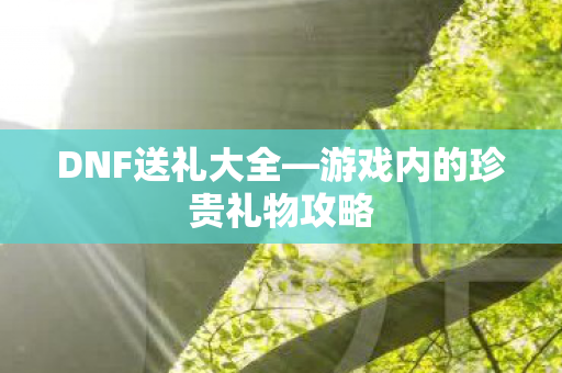 游戏内的珍贵礼物攻略图片