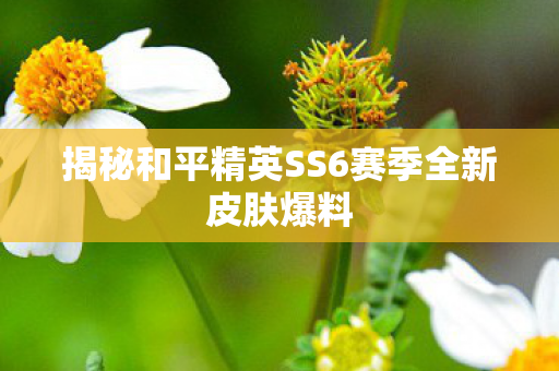 揭秘和平精英SS6赛季全新皮肤爆料图片