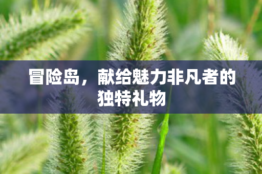 献给魅力非凡者的独特礼物图片