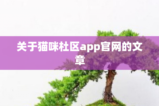关于猫咪杜区app官网的文章图片