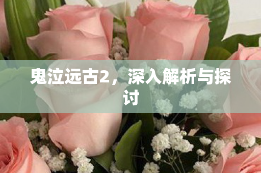 深入解析与探讨图片