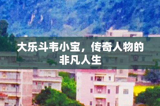 传奇人物的非凡人生图片