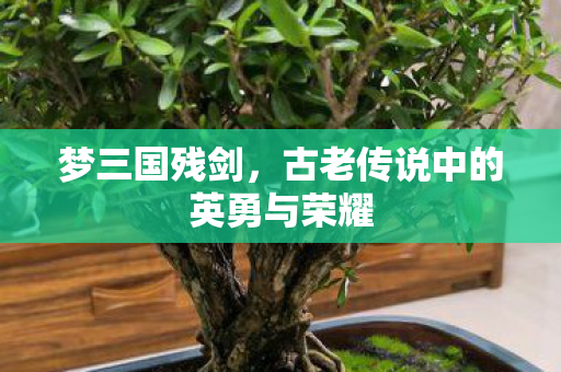 古老传说中的英勇与荣耀图片