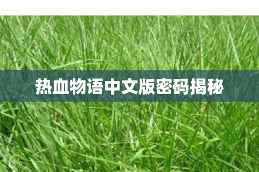 热血物语中文版密码揭秘图片
