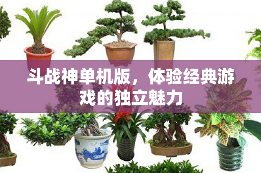 体验经典游戏的独立魅力图片